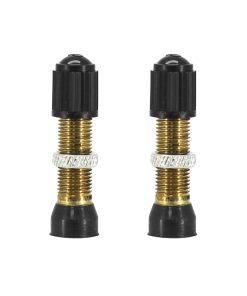 Valve de Pneu Tubeless Schrader Argent 44mm Obus Demontable (Vendu A La Paire Sur Carte)
