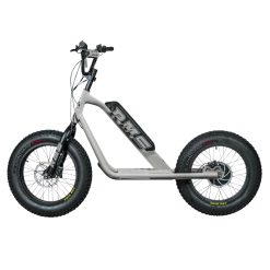 Trottinette Électrique RMS Bike 20F-X Gris Aluminium RAL 9006 Moteur 500 W Homologué NF EN 1476 (Dim. 1,78 x 0,83 x 1,18 m) – Made in France