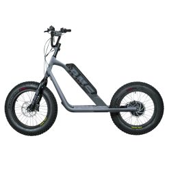 Trottinette Électrique RMS Bike 20F-X Gris Ardoise RAL 7015 Moteur 500 W Homologué NF EN 1476 (Dim. 1,78 x 0,83 x 1,18 m) – Made in France