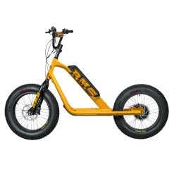 Trottinette Électrique RMS Bike 20F-X Jaune RAL 1021 Moteur 500 W Homologué NF EN 1476 (Dim. 1,78 x 0,83 x 1,18 m) – Made in France