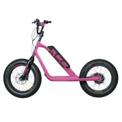 Trottinette Électrique RMS Bike 20F-X Rose RAL 4003 Moteur 500 W Homologué NF EN 1476 (Dim. 1,78 x 0,83 x 1,18 m) – Made in France