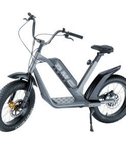 Draisienne Électrique RMS E-Drais Max Gris Foncé RAL 7015 Moteur 350 W Homologué NF EN 14764 (Garde-Boue en Option) (Dim. 1,65 x 0,83 x 1,18 m) – Made in France