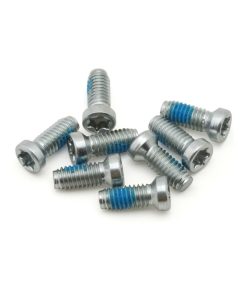 Vis de Pedalier SRAM Direct Mount - Axs Spider Torx 8X20 mm (Pour Montage Spider Ou Plateau Dm Sur Manivelle) (Jeu de 8 Pieces)